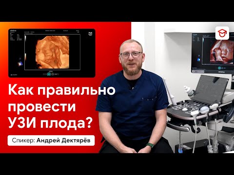 УЗИ плода на 2-3 триместре. Рутинное исследование при беременности