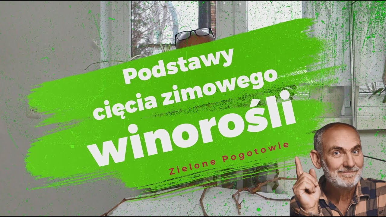 Podstawowe zasady cięcia winorośli