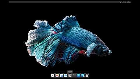 How to install Cutefish OS on vmware?