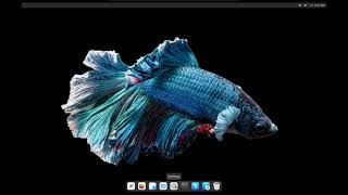 How To Install Cutefish Os On Vmware?