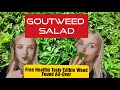 GOUTWEED SALAD🥗 Foraging, 2 Recipes + Soup option