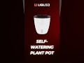 self-watering plant pot #plants #garden #gardening #coolfinds #cool #tech #viral #technology #shein