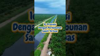 10 Provinsi Perkebunan Sawit Terluas di Indonesia 🌴🇮🇩 #sawit #indonesia #toplist
