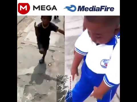 MEGA O MediaFire