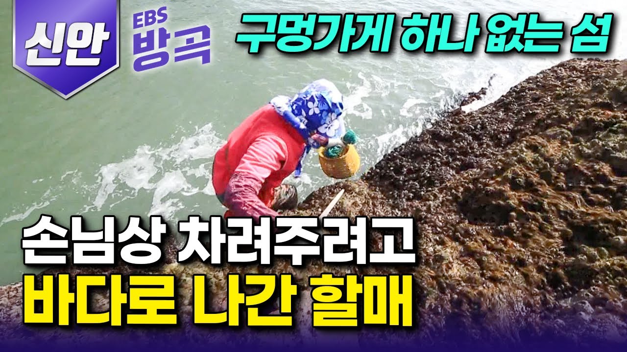 [전남 신안] 구멍가게 하나 없는 작은 섬, 손님이 보이면 한 상 가득 차려주려 바다로 총출동하는 섬마을 할머니들┃30가구 남짓 사는 '영산도'┃