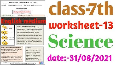 Science worksheet 13 class 7 (31/8/21) English medium / worksheet 13 science class 7 / 7th science