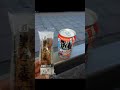 REBECCAMOSTALOGIC NEW WORLD TOUR 2024