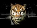 Katy Perry - Roar (Lyrics)