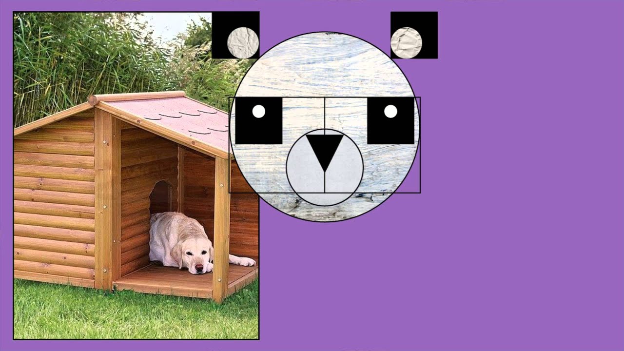 Must Love Dogs Dog Boarding YouTube