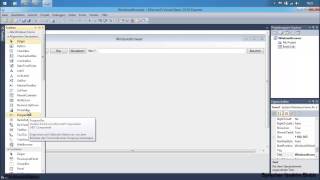 Visual Basic - Eigene WebBrowser erstellen