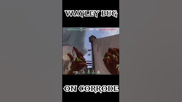 WAYLEY BUG #valorant #valrantindia #bug #leak #corrode #malluvalo #gaminglive #valorantclips