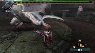 MHF　ルーツガンランスソロ2010052702