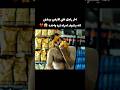 اخر راجل على الارض بيتمنى انه يشوف امراه لمره واحده Movie Film اخر راجل على الارض بيتمنى انه يشوف امراه لمره واحده Movie Film