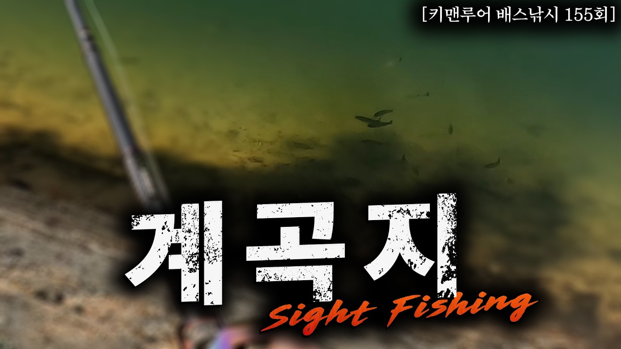 [키맨루어 배스낚시 155회] 물속이 다 보인다! 공주 계곡형 저수지 역대급 맑은 물 사이트 피싱