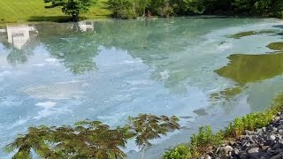 New water quality alliance to protect Smith Mountain Lake
