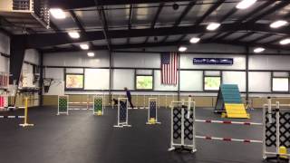 IMG 0452
