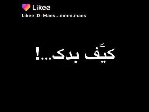 احلى اغنية لفلي حشيش سميعني غنانيه