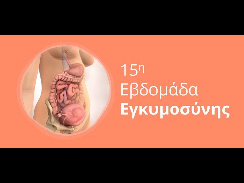 Βίντεο: Πώς είναι η 15η εβδομάδα της εγκυμοσύνης
