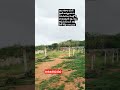 240 sq Yards Open Plot sale || Pasumamala Kuntloor || #home #house #realestate #houseforsale #east