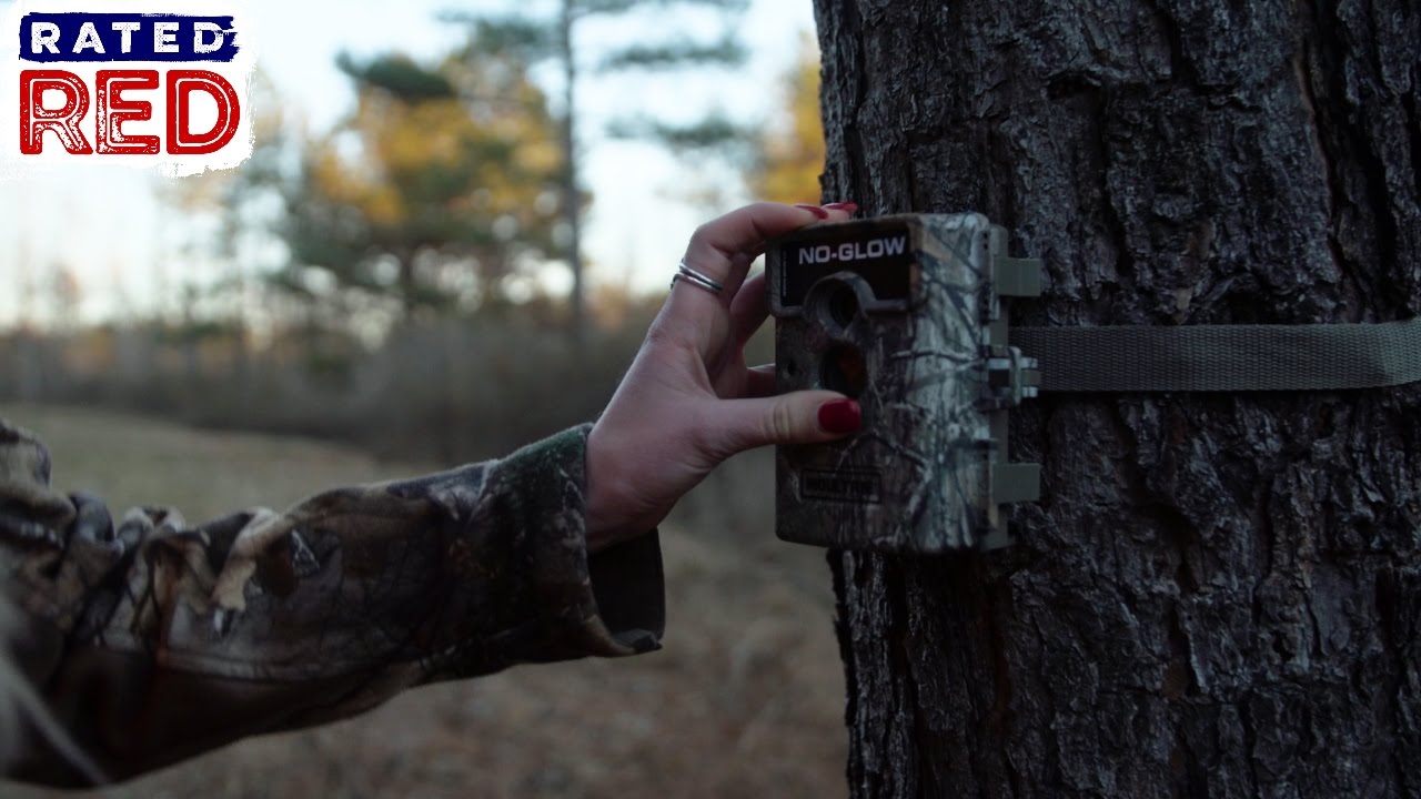 Tips for Hangin’ Trail Cams