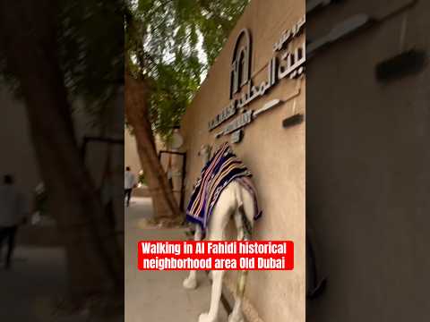 Walking in Al Fahidi historical neighborhood area Old Dubai streets to Meena Bazaar #shorts #dubai