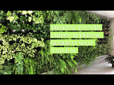 Vídeo: Qual é A Diferença Entre O Mock-orange E O Jasmim? 26 Fotos Qual é A Diferença Entre Arbustos? Como Eles São Semelhantes? Como Distinguir A Laranja Simulada Do Jasmim De Jardim?