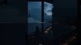 Sayang Orang Sama  Adira Suhaimi  S  Aesthetic  English Version  Whatsapp    Slowed