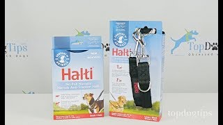 The Company of Animals Halti No-Pull Harness and Training Lead Review