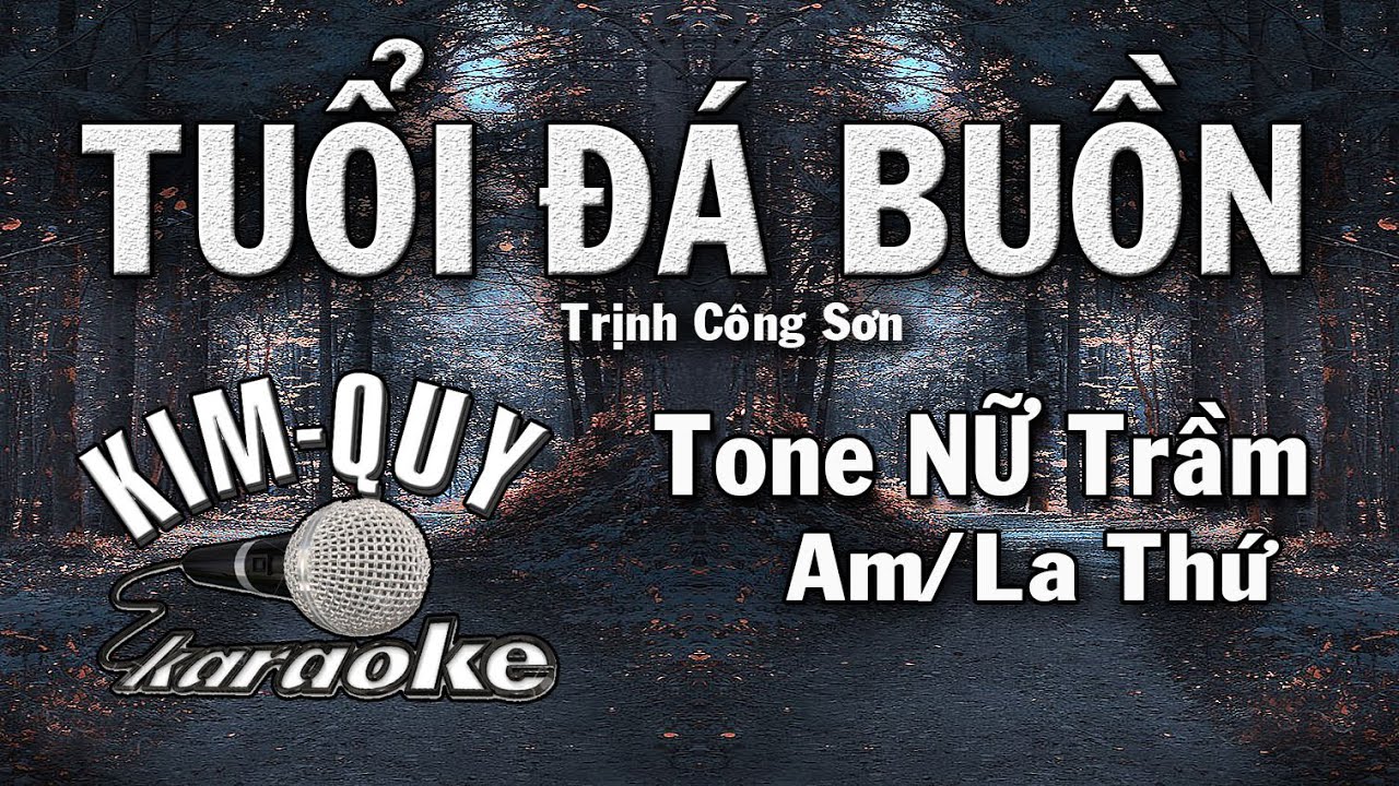 TUỔI ĐÁ BUỒN - KARAOKE - Tone NỮ Trầm ( Am/La Thứ )