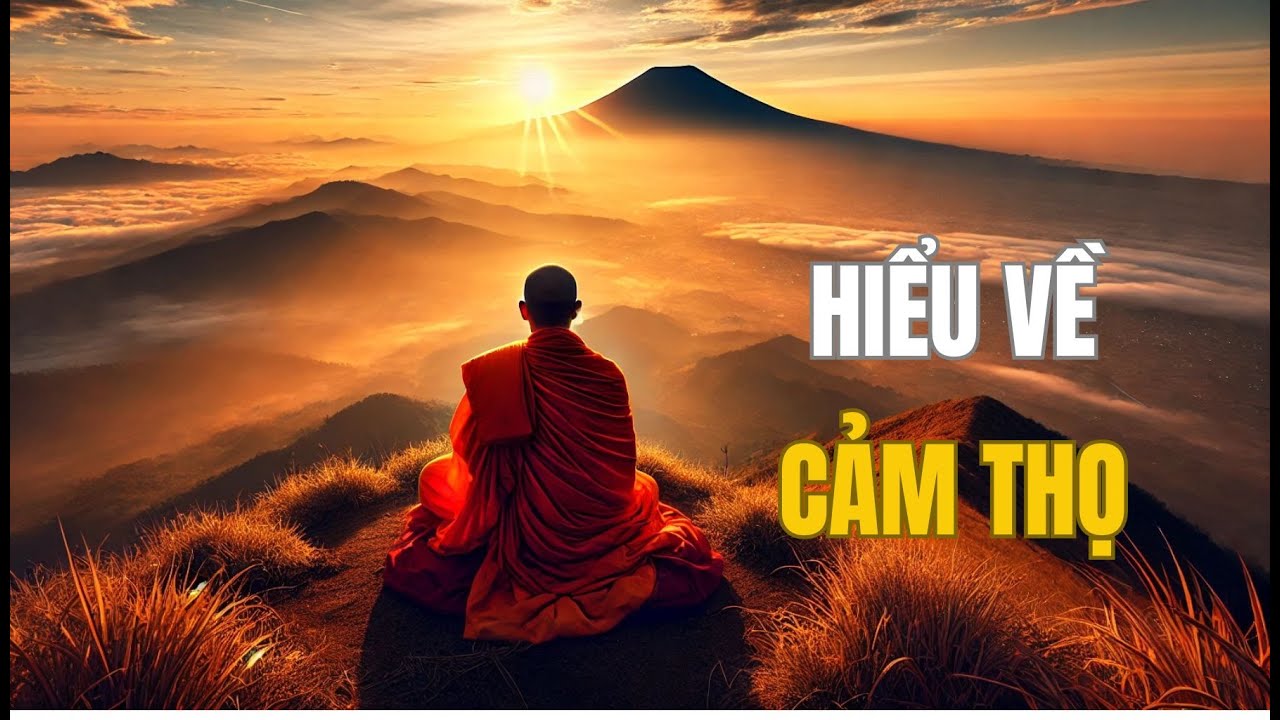 KHI TA BIẾT CÁCH QUÁN SÁT THỌ UẨN TA SẼ NHẬN RA RẰNG MỌI KHỔ ĐAU ĐỀU CÓ THỂ CHUYỂN HOÁ