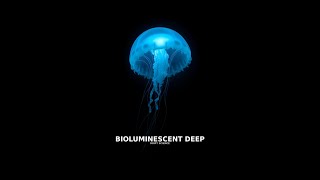 What You Would Discover in the Bioluminescent Deep | Science for Sleep