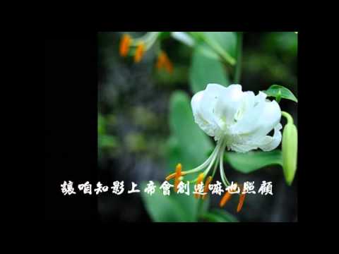 詩歌-春天的風