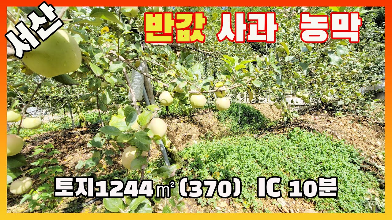 [물건번호3294]충남 서산시 해미면 