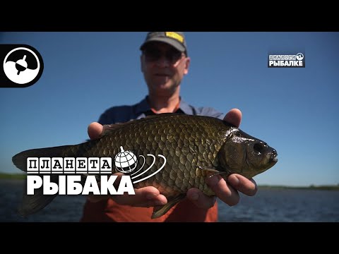 Рыбалка на волжских раскатах. Несчастный случай | Планета рыбака