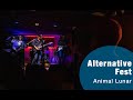 Alternative Fest - Animal Lunar