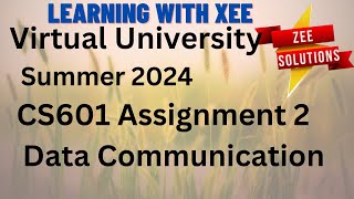 CS601 Data Communication Assignment  2 Summer 2024 Virtual University of Pakistan Wealth