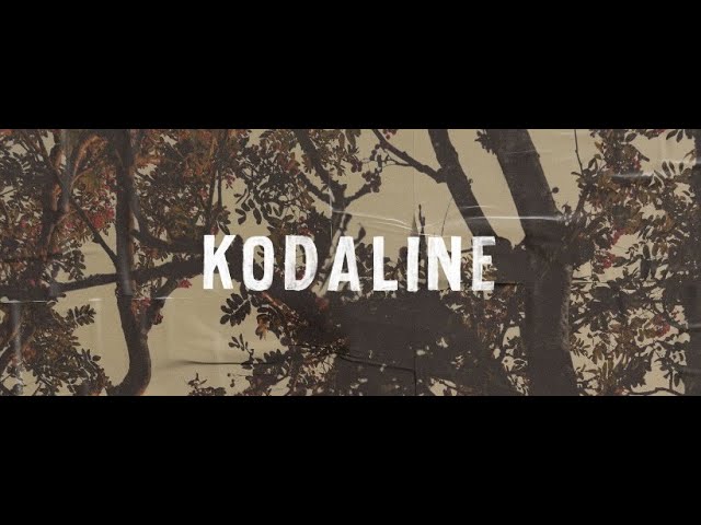 [1hr] Kodaline - All I Want | hateful remix class=