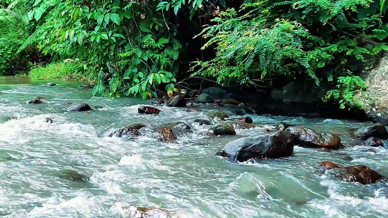 Wild Forest River Sounds | Powerful Water Flow for Deep Sleep & Relaxation