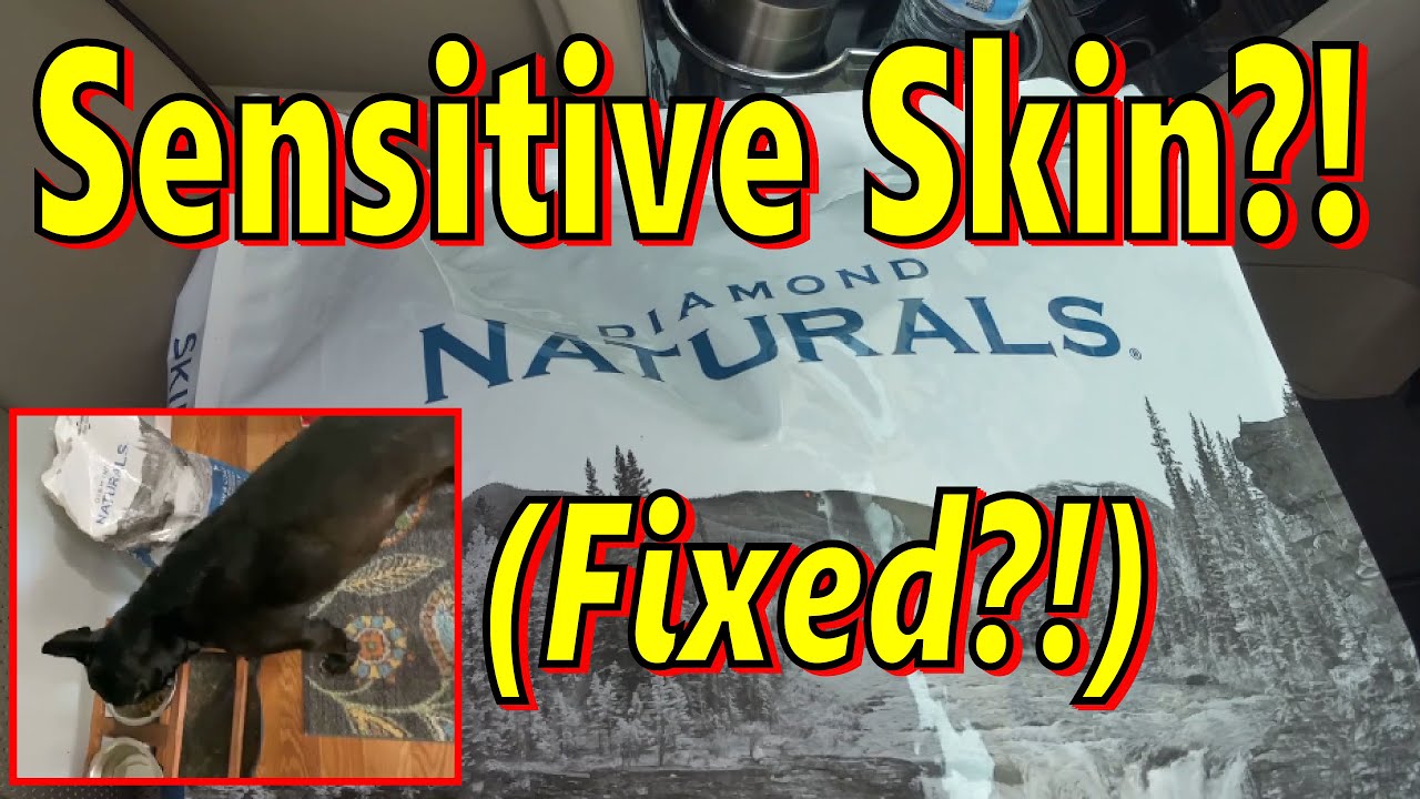 A MUST HAVE?! Diamond SKIN & COAT Real Meat Dry DOG FOOD YouTube