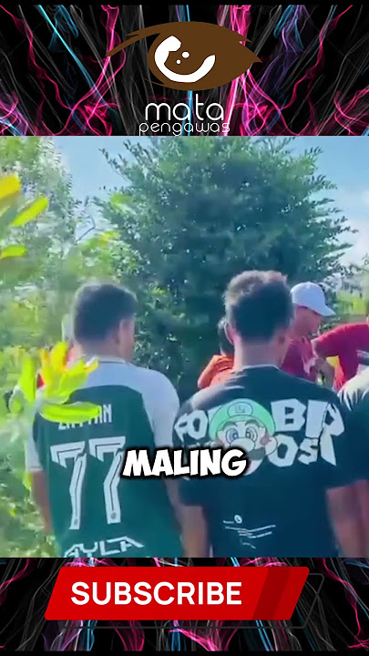 MALING SAPI DI BUAT P1NC4NG