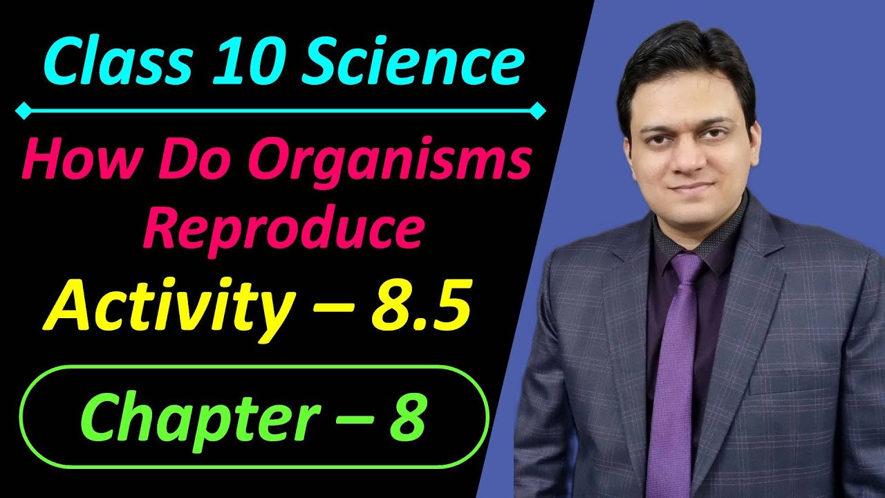 Activity 8.5 Class 10 Science Chapter 8 How Do Organisms Reproduce ...
