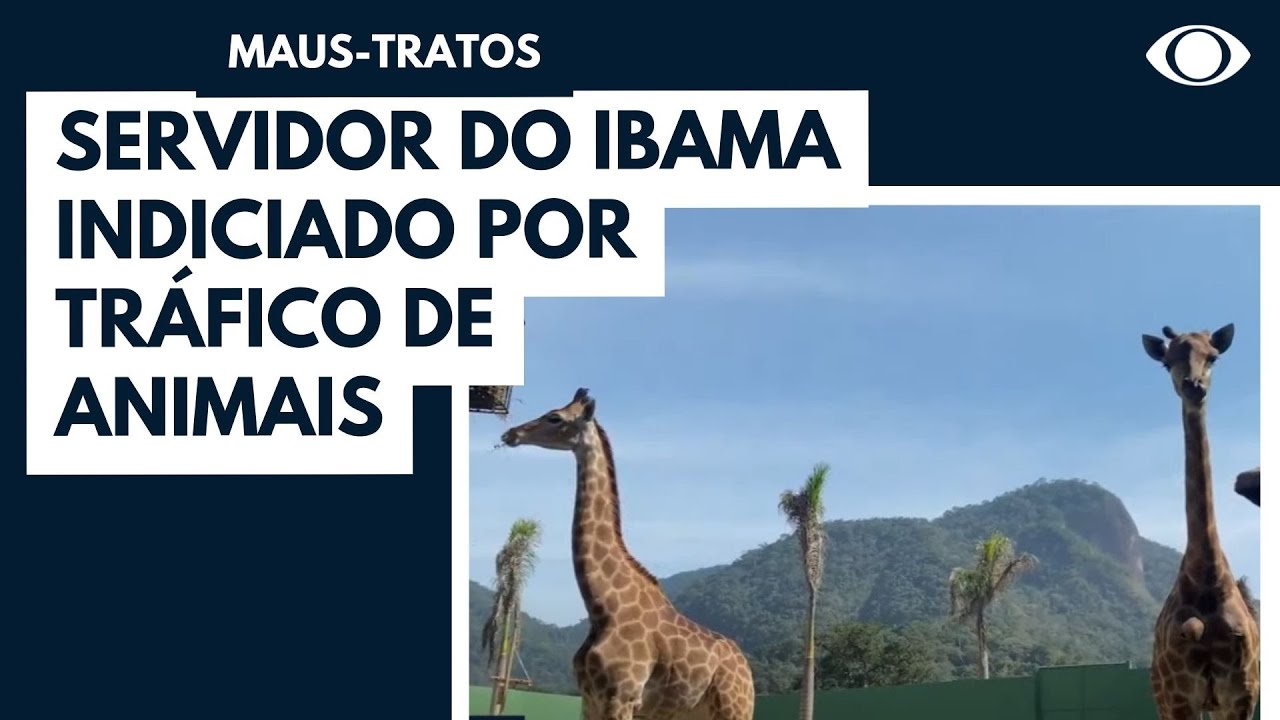 Servidor do Ibama indiciado por tráfico de animais