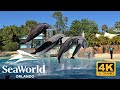 SeaWorld Orlando Dolphin Show 2025 in 4K 🐬
