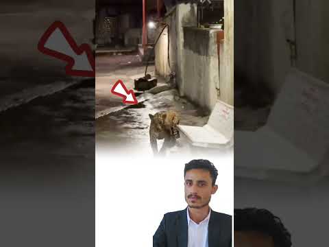 أنمر ليس مجرد تهديد بل هو النهاية تقترب بخطى واثقة