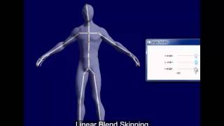 3D Silhouette Based Automatic Rigging
