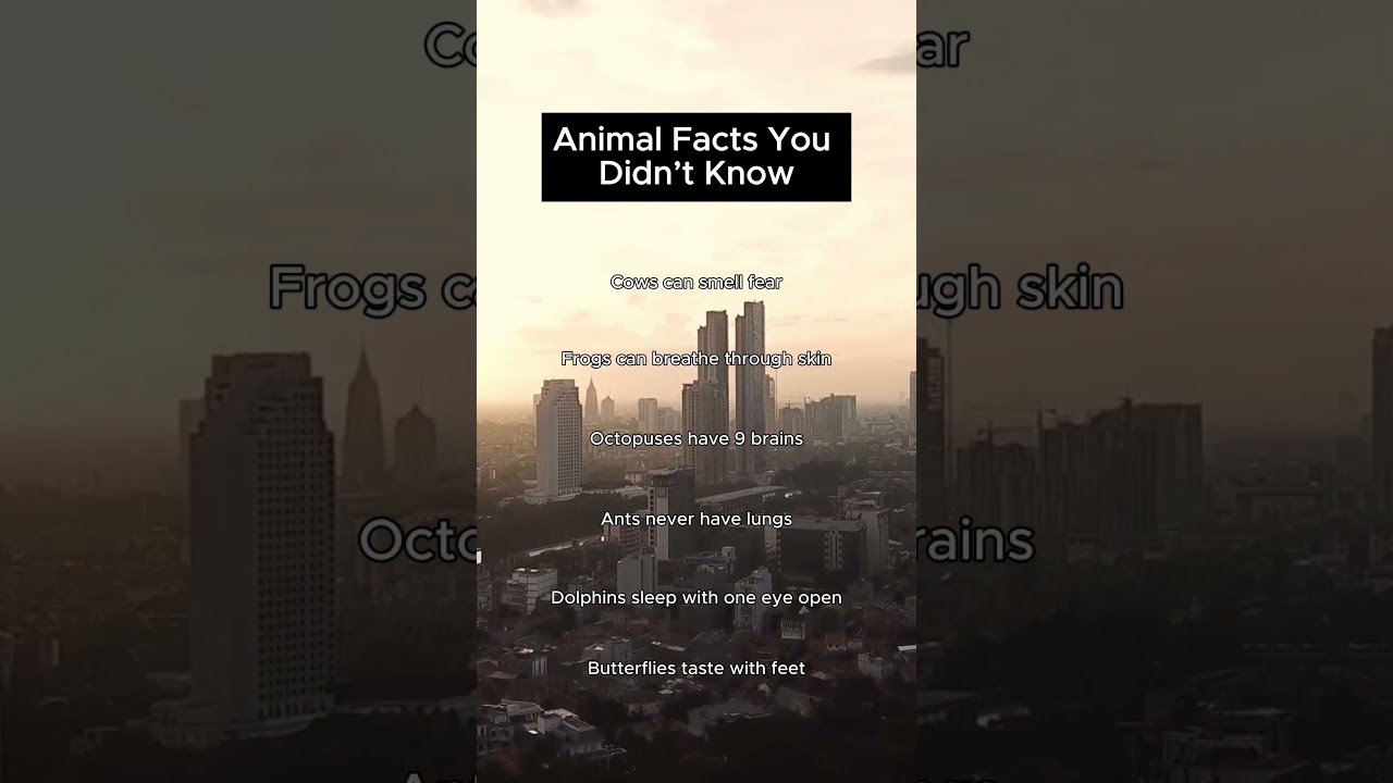 Animal facts you didn’t know