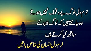 Gentle People Are Not Fools | Best Urdu Quotes screenshot 4