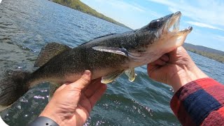 I caught my personal best WALLEYE, while breaking in my NEW motor!