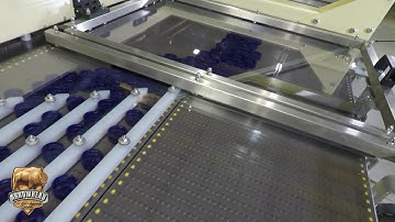 Arrowhead Conveyor Accumulation System