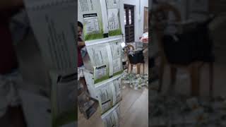 100gm ffs machine for candy packing Naveena packagings kerala  #foodpackagingmachine